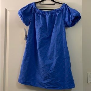 NWT ZARA embroidery dress